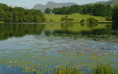 Image by kind permission www.lakelandcam.co.uk by Tony Richards