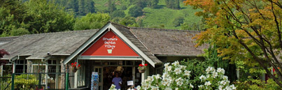 Grasmere Garden Centre entrance