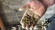 Grain in plaster in cottage renovation near Hawkshead